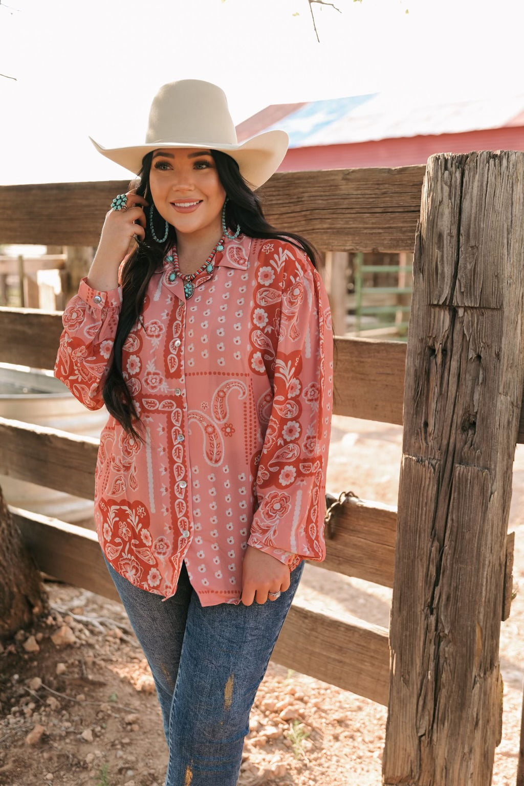BLUSH  PAISLEY CHIFFON