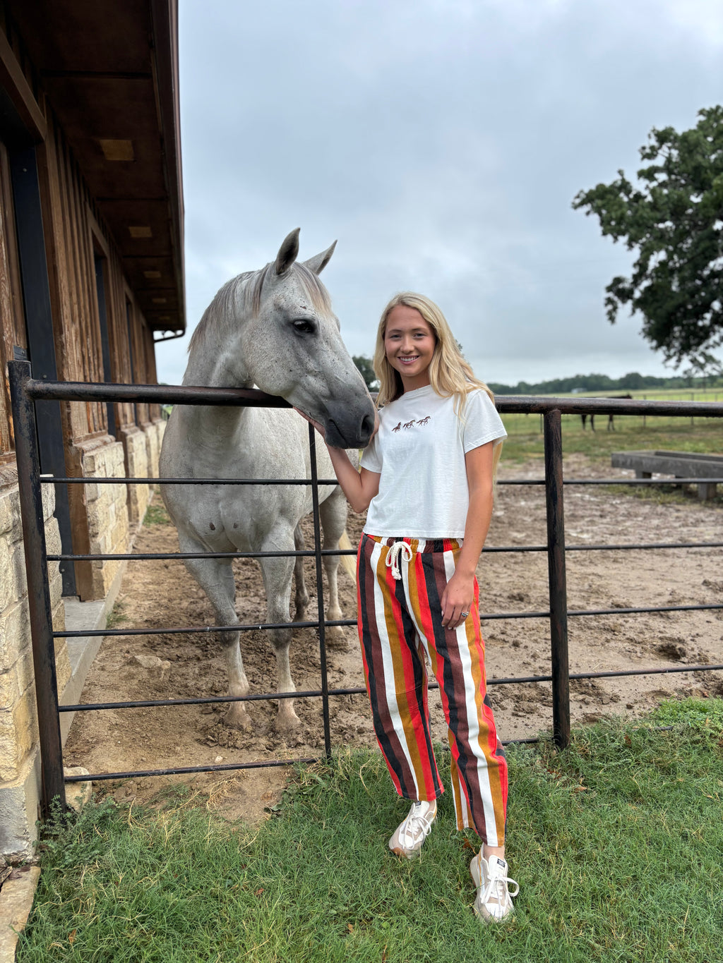 HORSE TRIO GRAPHIC TEE