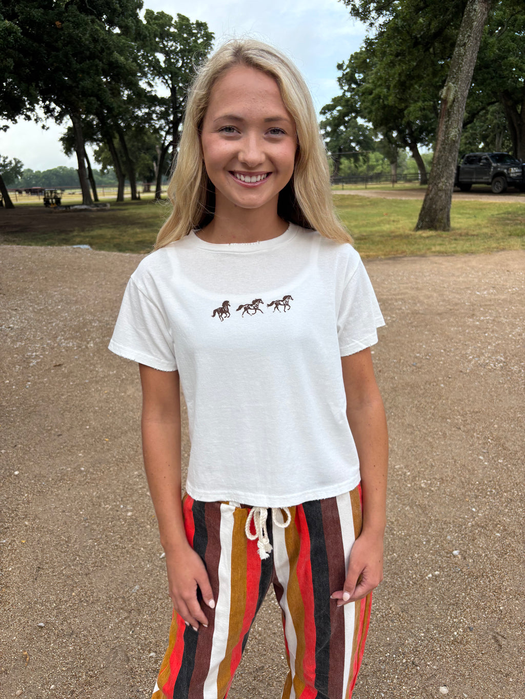 HORSE TRIO GRAPHIC TEE