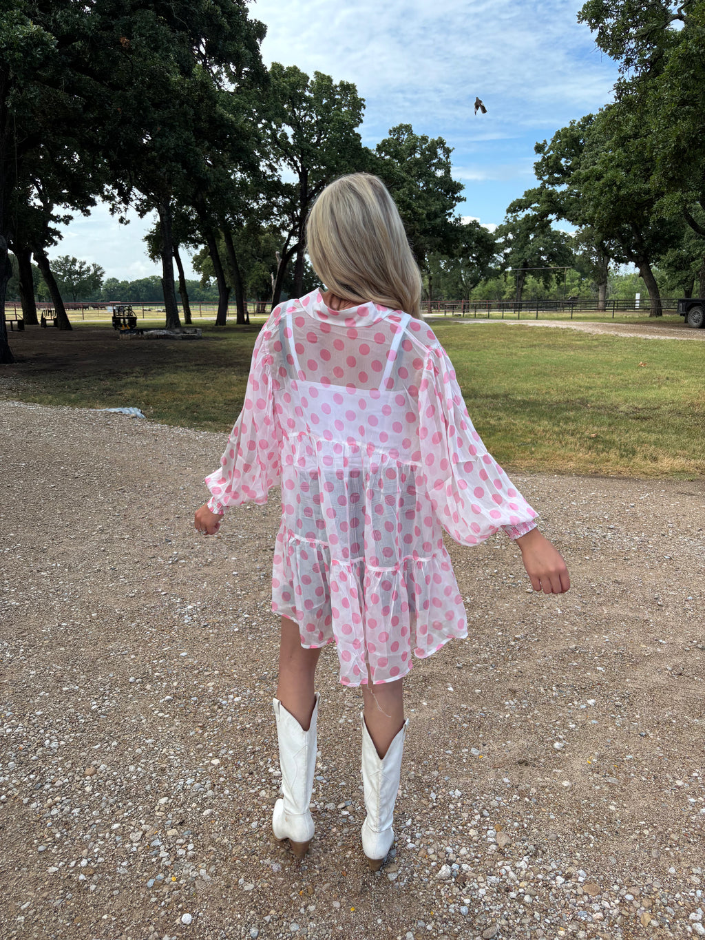 Pink Polka Dot Sheer Blouse